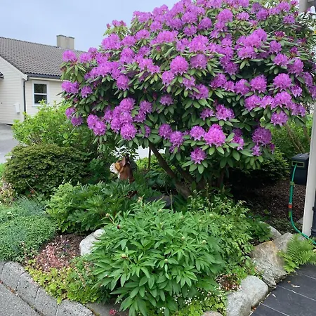 Apartman Kitty Kiellands Gate 20 *