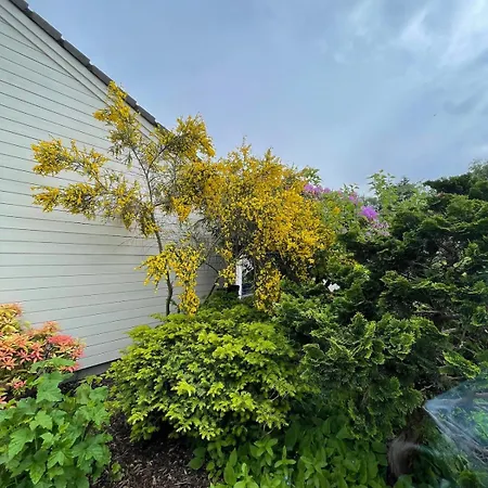 Apartman Kitty Kiellands Gate 20 *