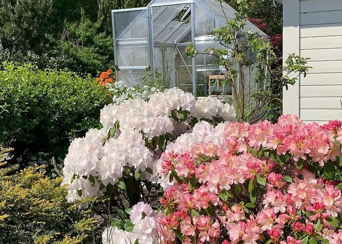 Kitty Kiellands Gate 20