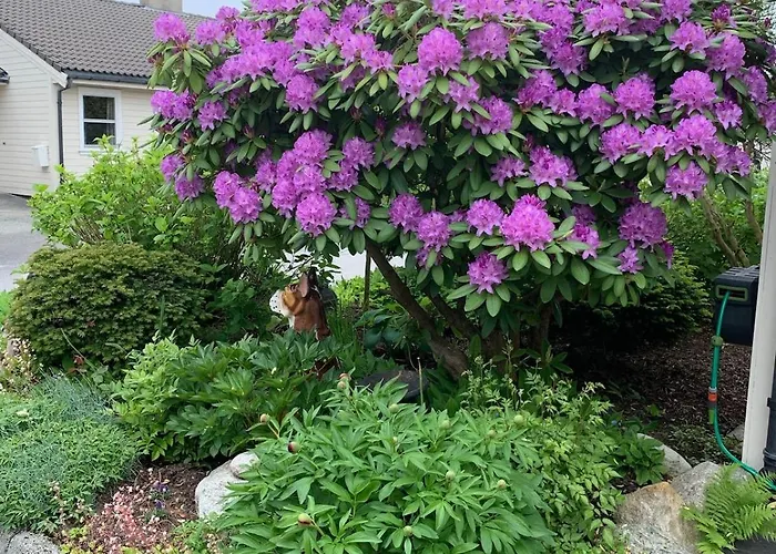 Apartament Kitty Kiellands Gate 20 *