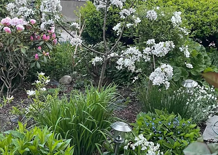 Kitty Kiellands Gate 20 *