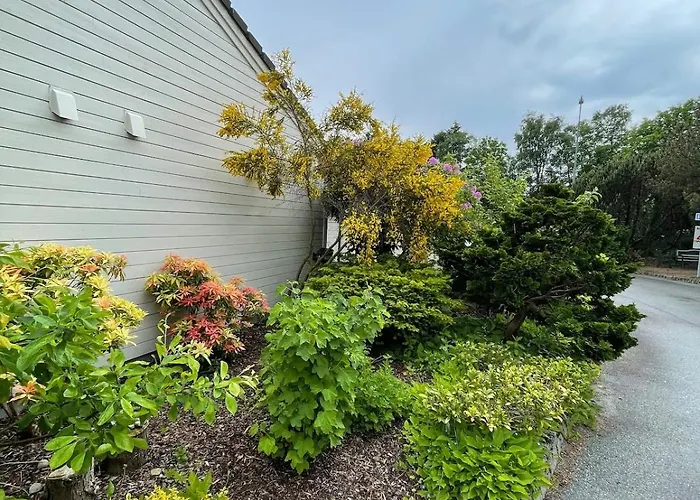 Kitty Kiellands Gate 20 * Stavanger